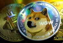 Newegg comienza a aceptar pagos con Dogecoin