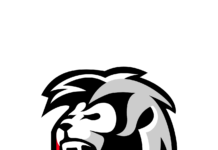 eBRO Gaming, la organización de esports de “La Bruja” Verón, presenta su renovado Roster