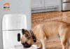 Llegó el Dispensador Inteligente de alimento para mascotas de Nexxt Solutions