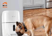Llegó el Dispensador Inteligente de alimento para mascotas de Nexxt Home